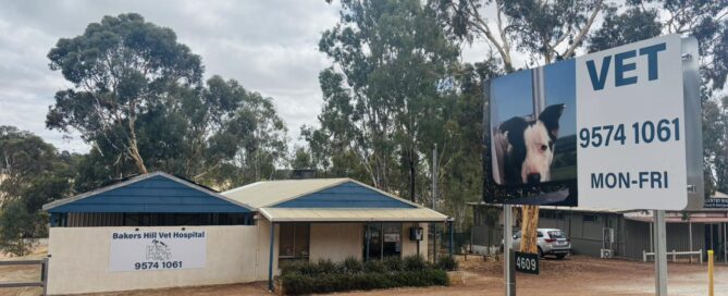 New roadside signage at Bakers Hill Veterinary Hospital